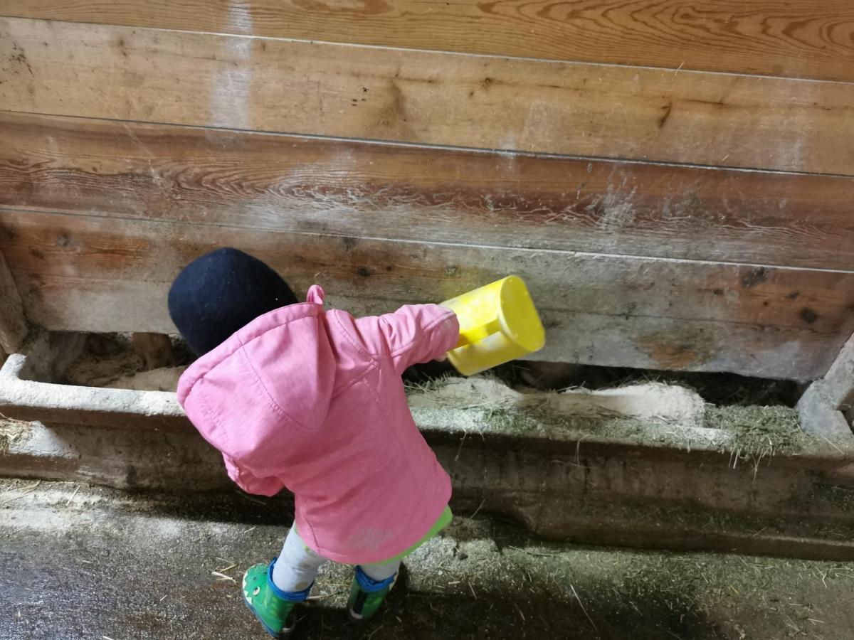 Landhaus Taurer Kals-am Großglockner Εξωτερικό φωτογραφία