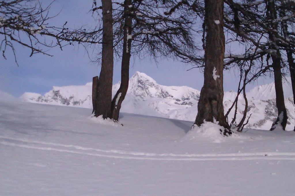 Landhaus Taurer Kals-am Großglockner Εξωτερικό φωτογραφία